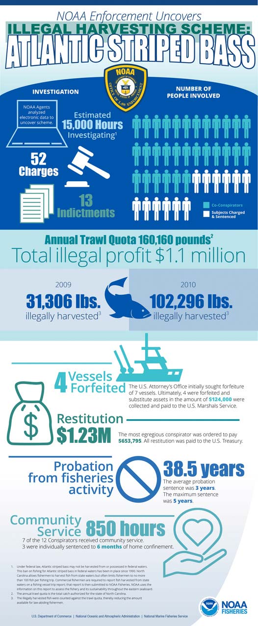 North Carolina striper investigation