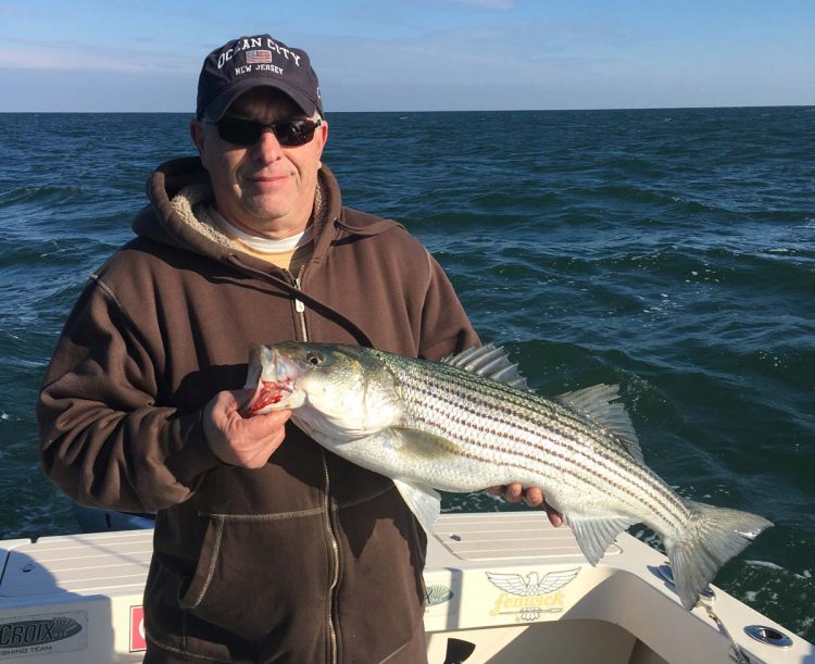 SNJ striped bass