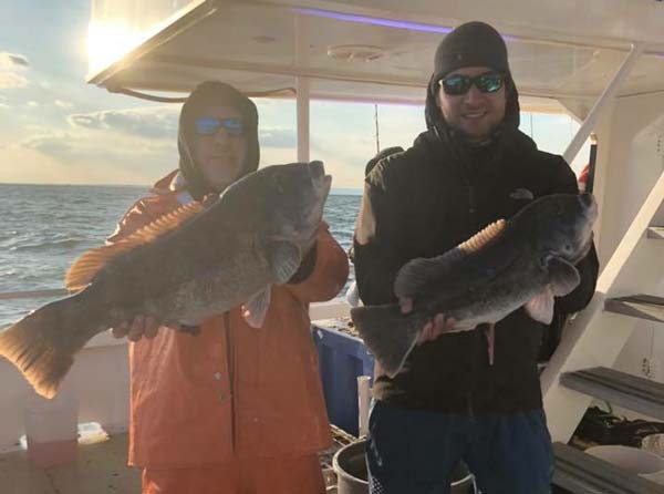 Capitol Princess tautog