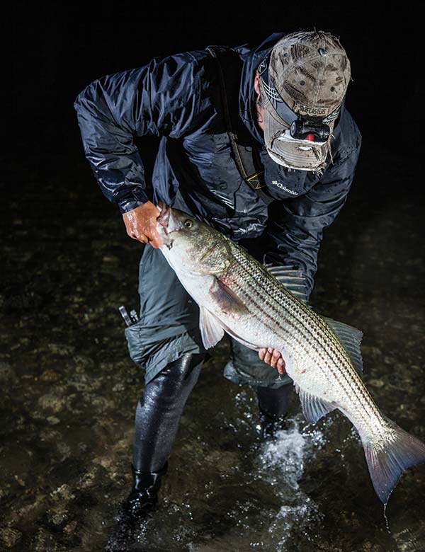 Classic plastic plugs are affordable and easy to modify