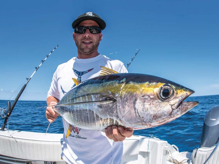 Yellowfin tuna