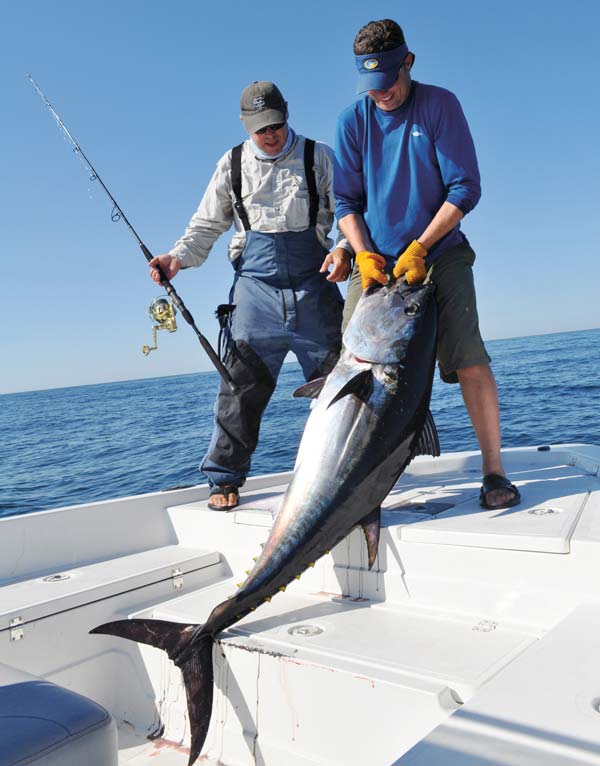 Tuna on sand eels will strike a stickbait