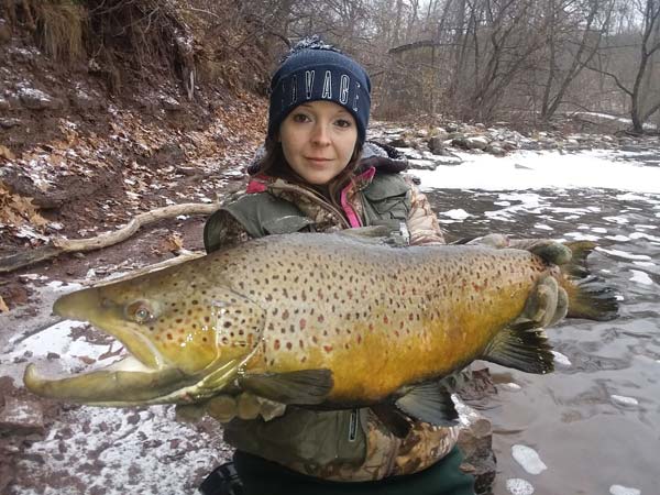 Buffy Frank brown trout