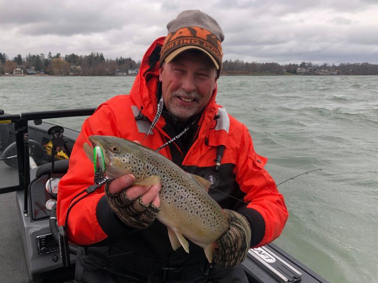 Mark Romanack brown trout