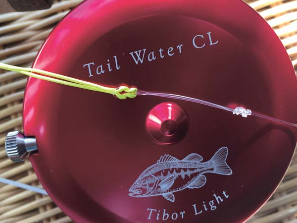 strongest loop-to-loop connection