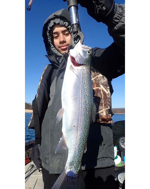 Winter rainbow trout