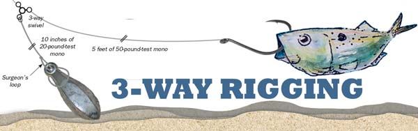 3-Way Rig