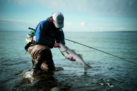 10 Tips for Fly Fishing the Surf