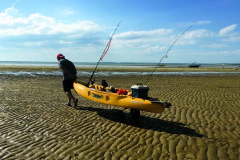 How to Catch Keeper Stripers with a Tube