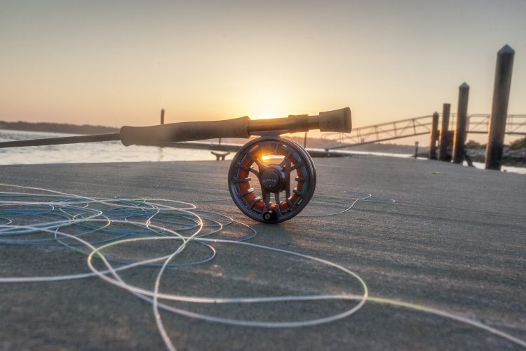 Photo taken by Shawn Hayes.