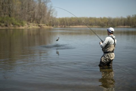 Product Review: St. Croix Panfish Series Rods