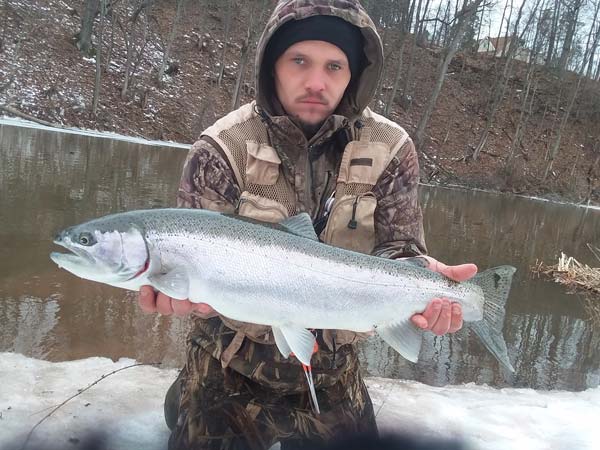 Shawn West steelhead