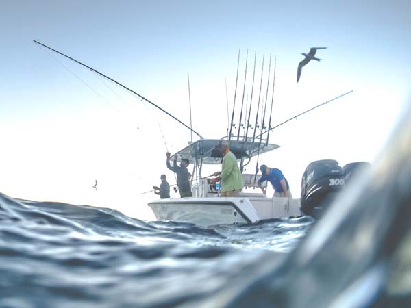 Humminbird side imaging