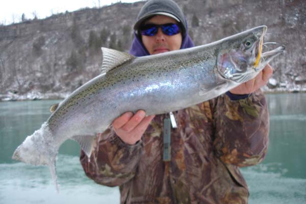 Mike Rzucidlo steelhead