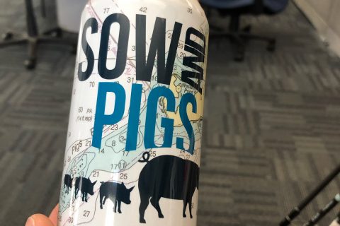 Fish Beer Friday Review: Buzzards Bay Brewing Sow and Pigs