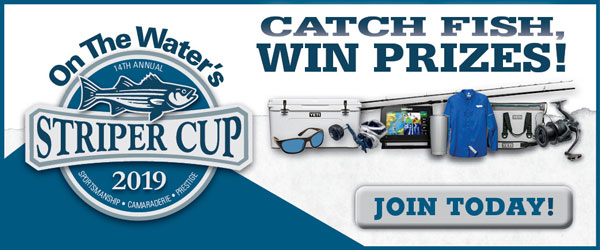 Sign Up For The 2019 Striper Cup!