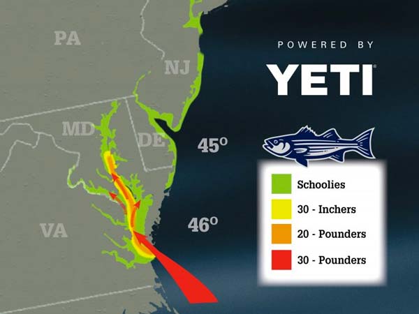 Striper Migration Map March 22, 2019