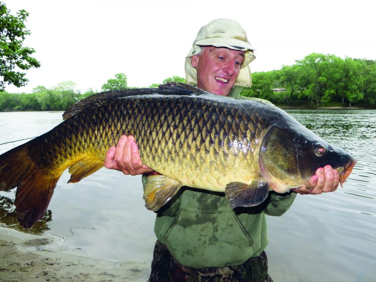 The bigger the river, the better your chance is to catch a trophy carp. Follow these tips to find and catch a large river carp.