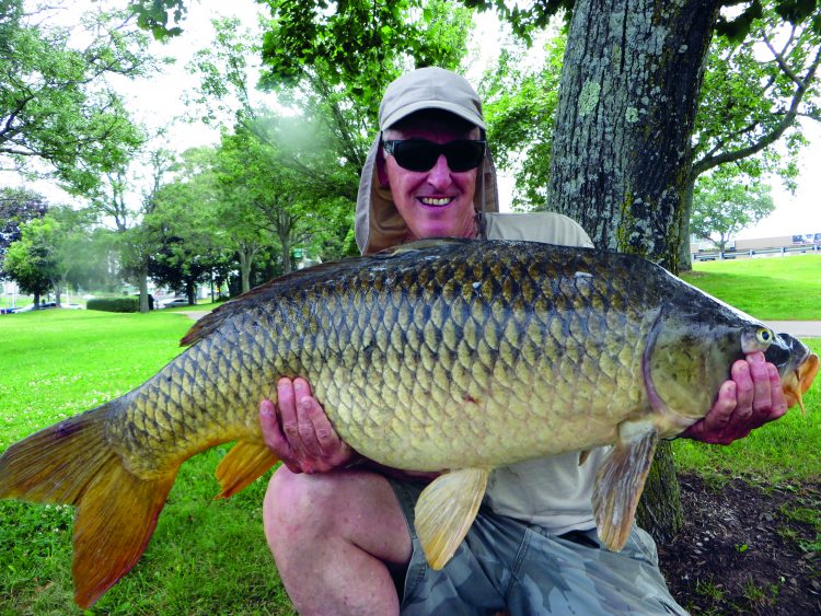 This huge river carp weighed in at 34 pounds. Carp over 30 pounds are considered trophies in New England.