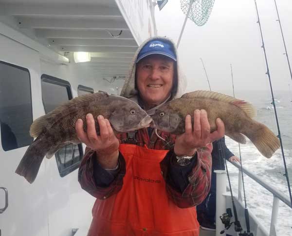 Norma K tautog