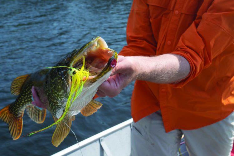 Saskatchewan Pike Fly Fishing