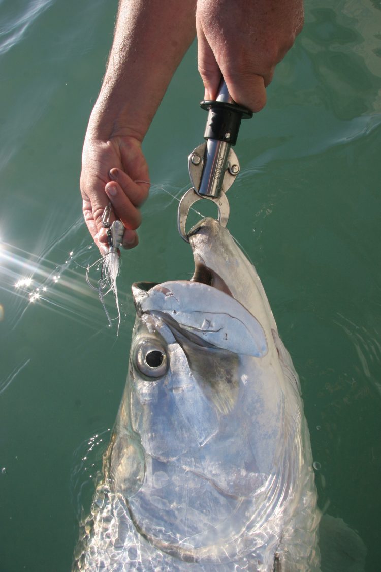 Sebile Trip Tarpon Ocean Born FLying Jig