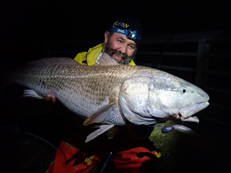 Patrick Sebile Hyperlastic DartSpin Red Drum Redfish