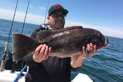 NJ blackfish manasquan