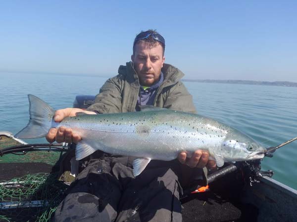 Matt Tall Atlantic salmon