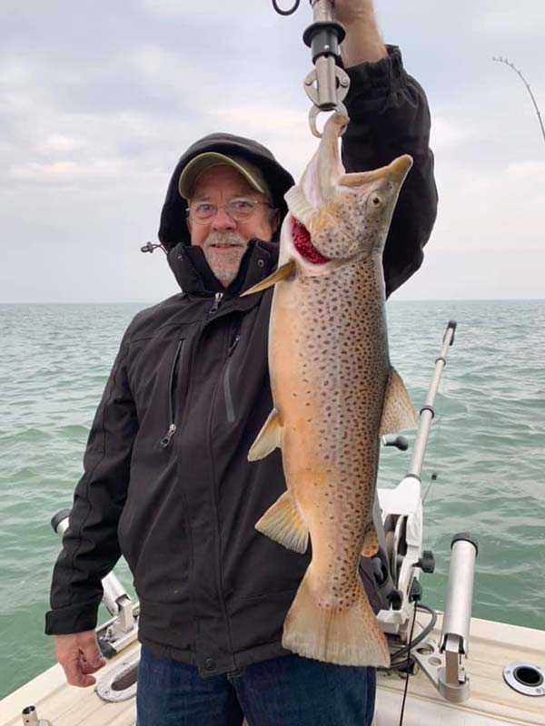 Phil Mills brown trout