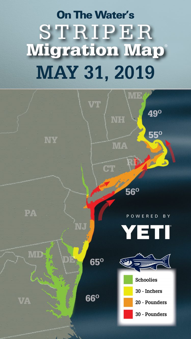 Striper Migration Map
