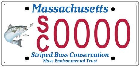 Striped Bass License Plate Massachusetts