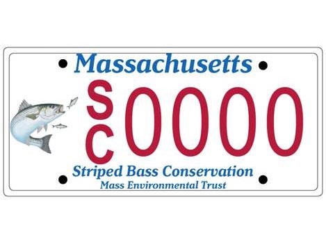 MA striped bass license plate