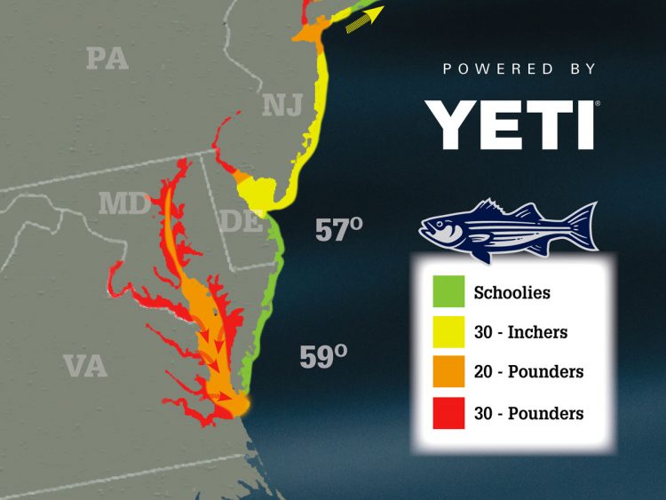Striper Migration Map May 3, 2019