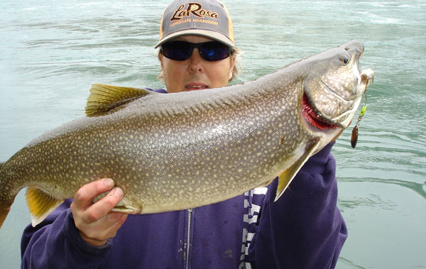 Mike Rzucidlo lake trout