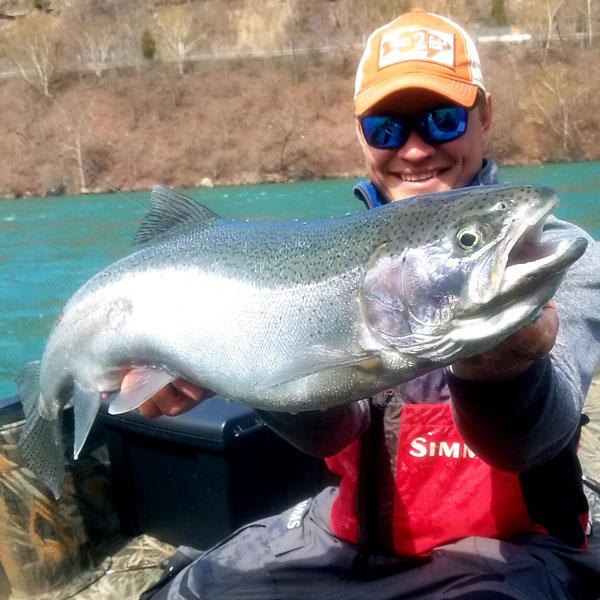 Mitch Anderson steelhead