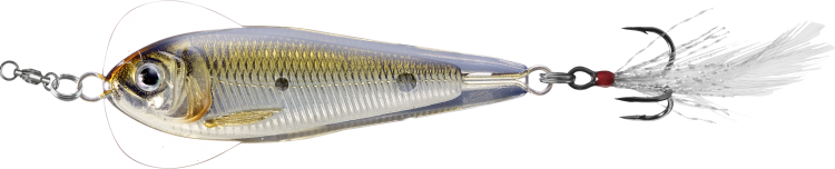 LIVETARGET ICT Flutter Shad