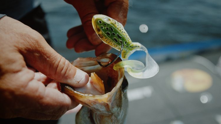 LIVETARGET FREESTYLE FROG