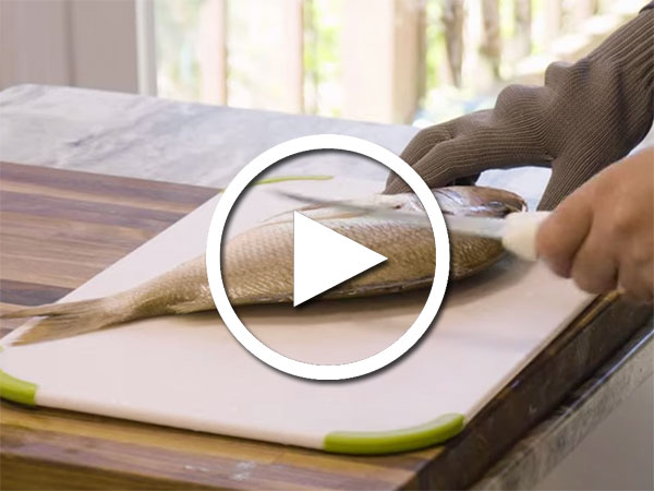 How To Fillet Scup