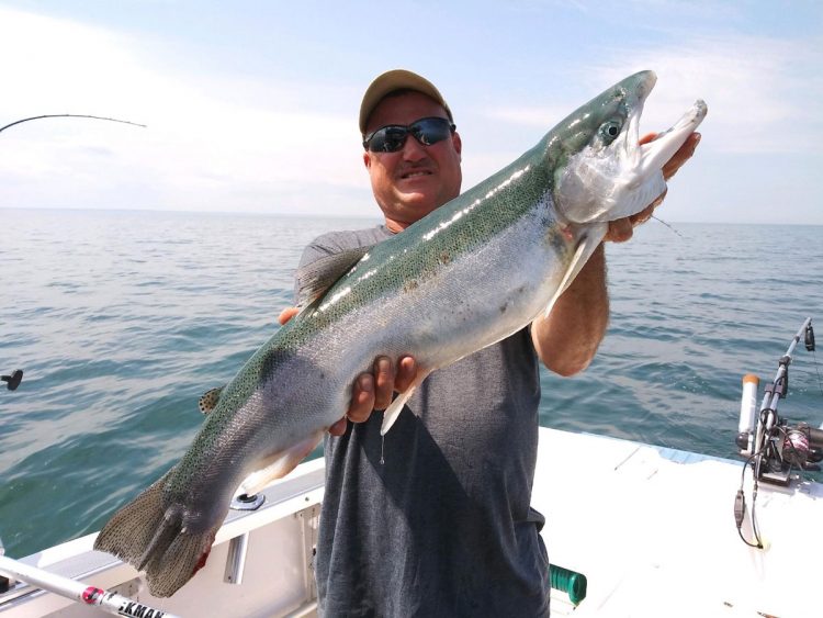 John Van Hoff steelhead