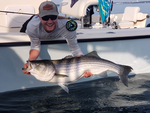 North Shore striper