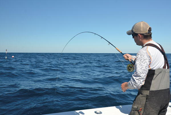 hooked up on the fly