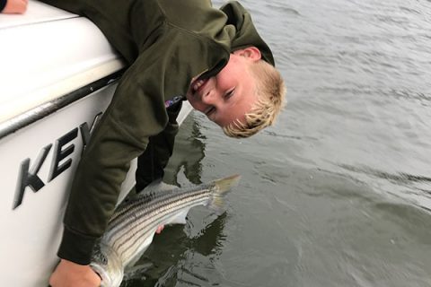 Striper Cup Week 17 Winners and Week 18 Prizes Announced!