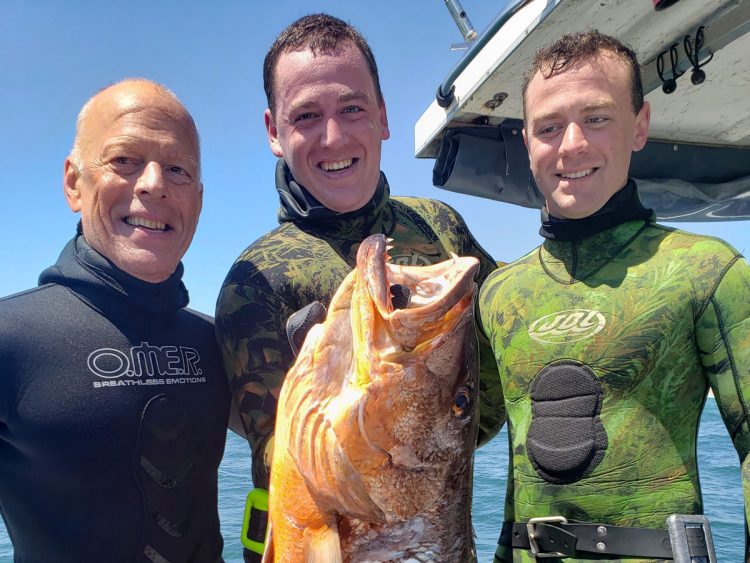Cubera snapper