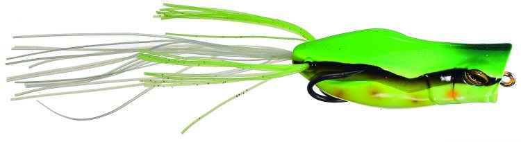 Gavacho hollow-body frog