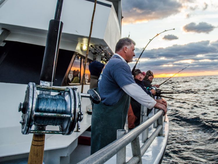 Canyons From Top To Bottom