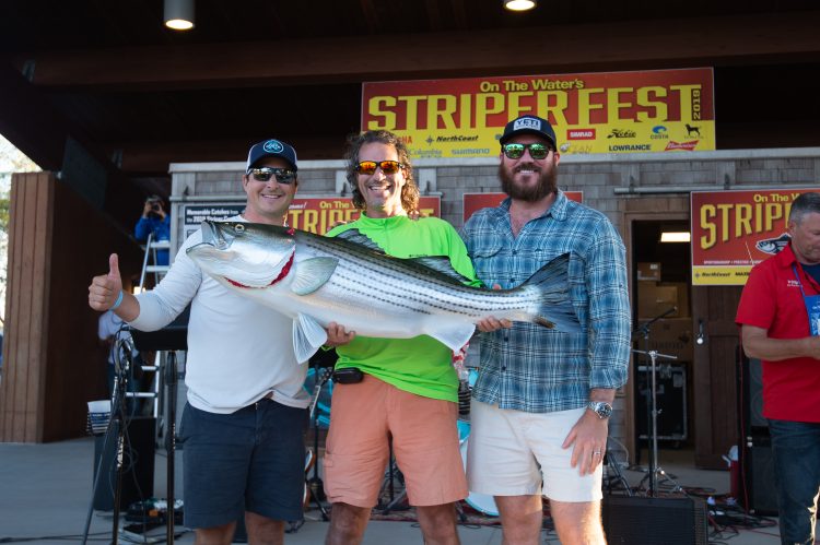 angler of the year