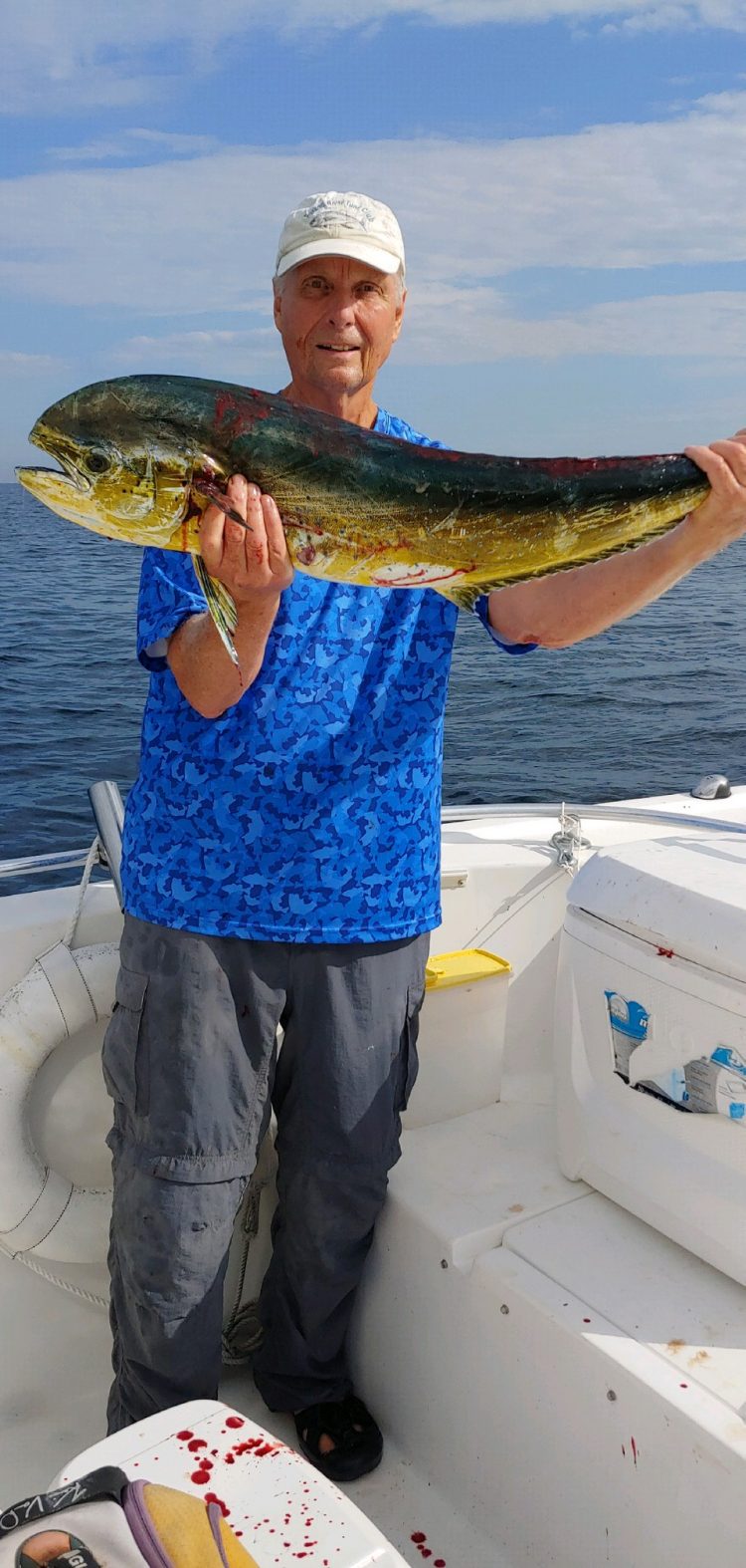 mahi mahi