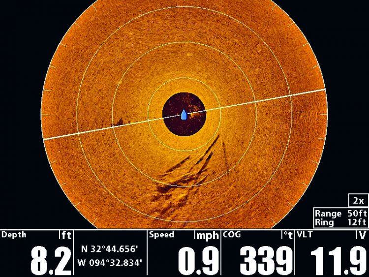 humminbird