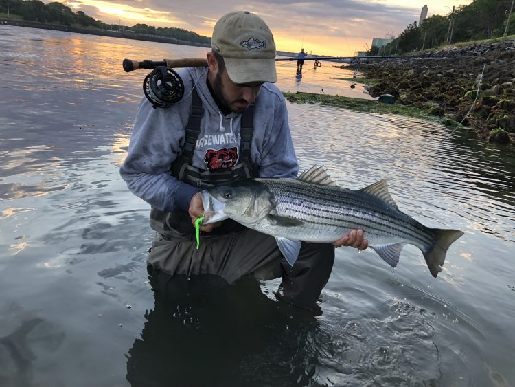 Striper on the fly